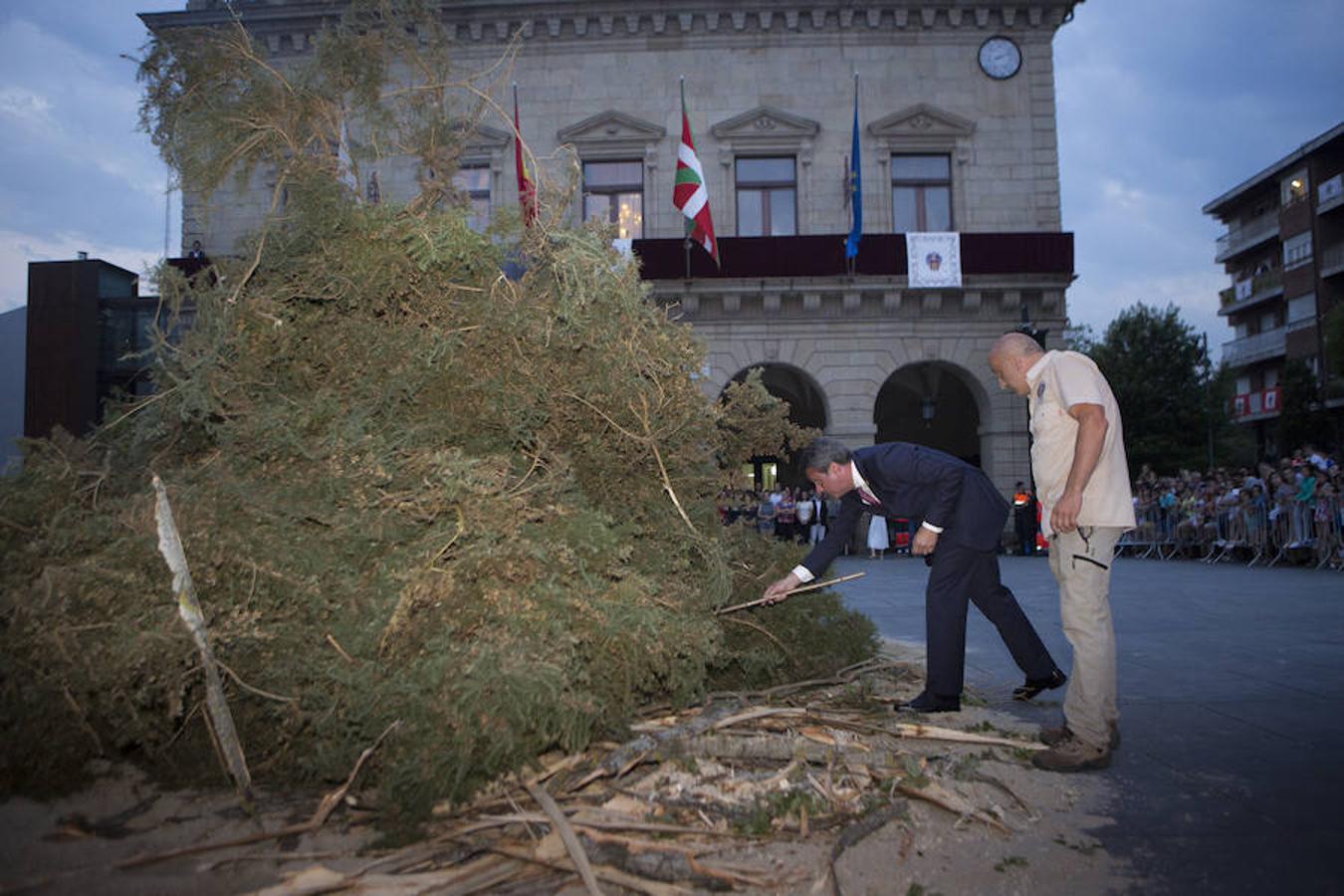 Fotos: Colocación del tradicional árbol de San Juan