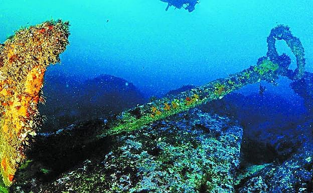 Imagen principal - Vida y misterio bajo la costa guipuzcoana