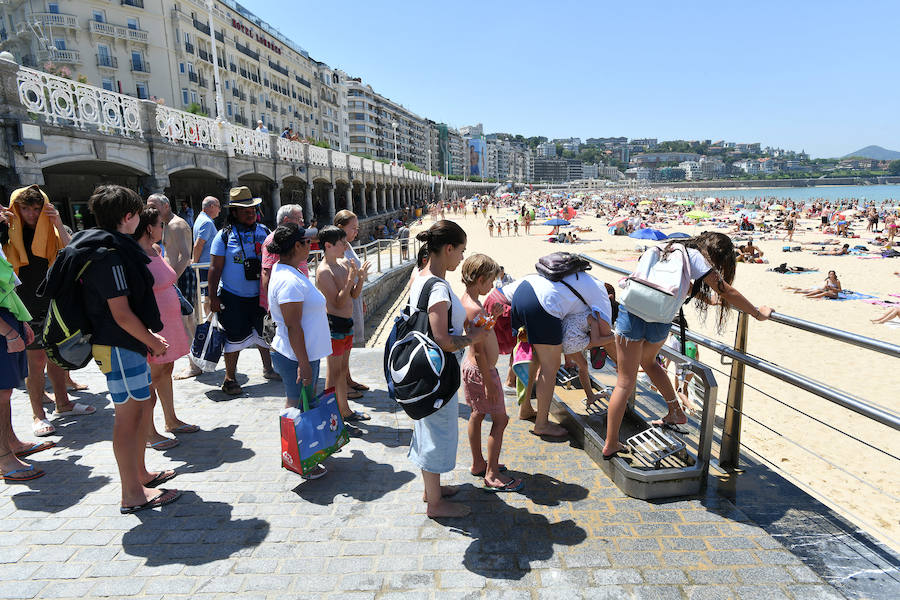 Fotos: La ola de calor en Gipuzkoa, en imáganes