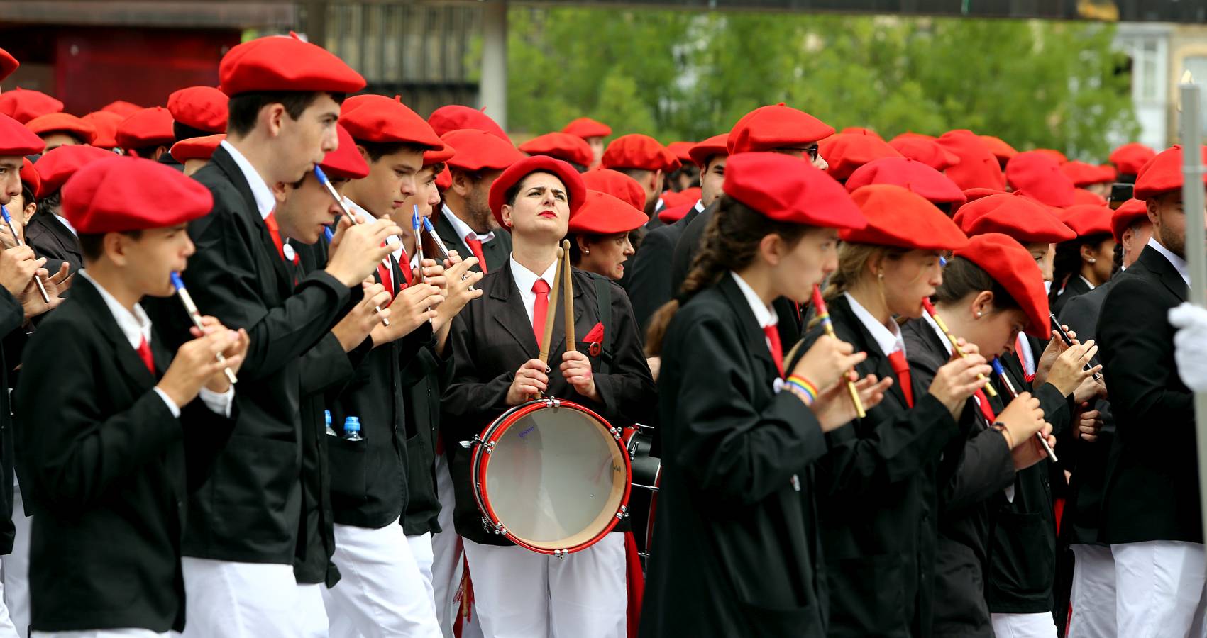 Fotos: El Alarde público, en imágenes