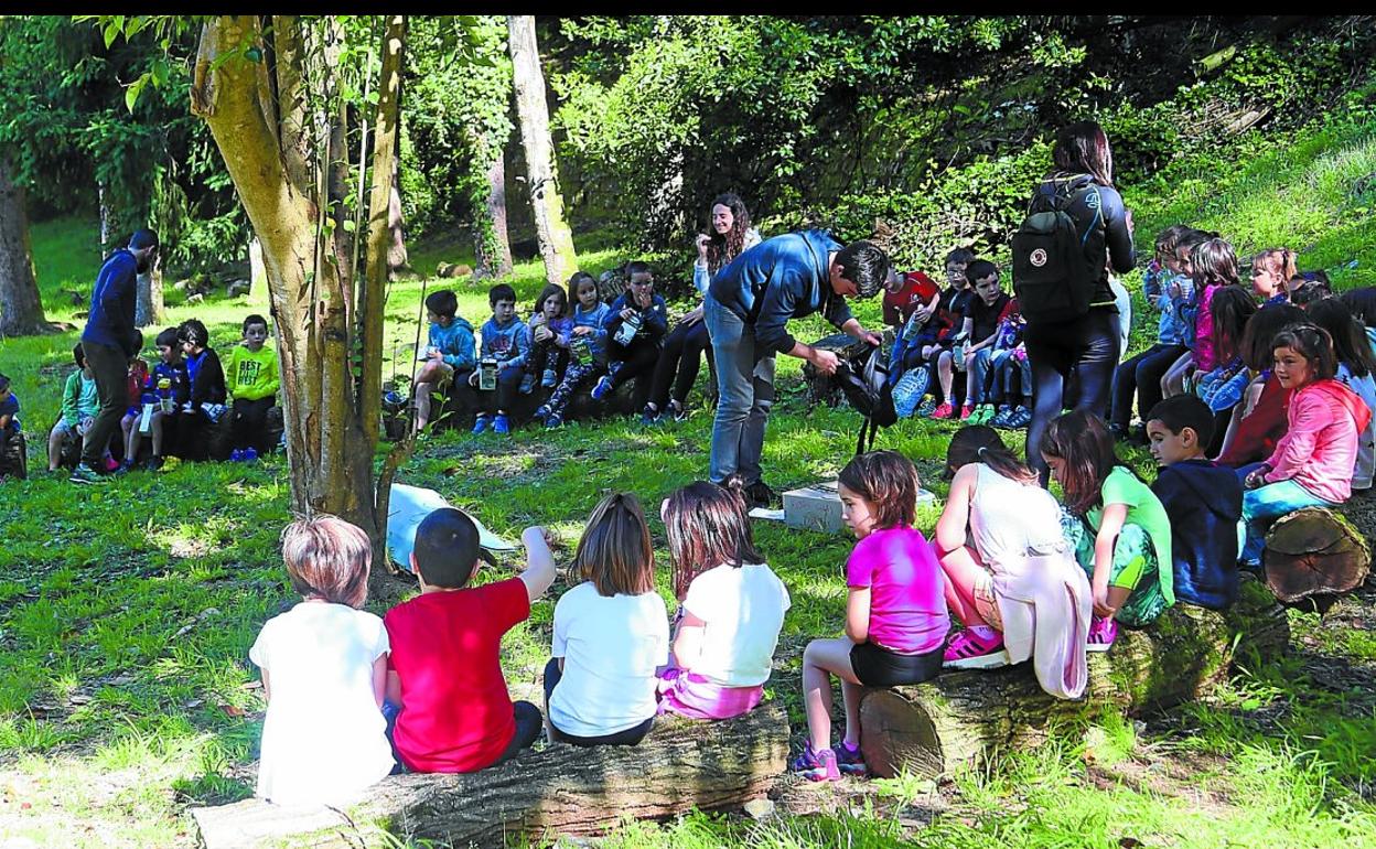 El programa 'Baso Eskola' ha permitido a los niños de cinco años acercarse a la riqueza ambiental de Elosegi Parkea. 