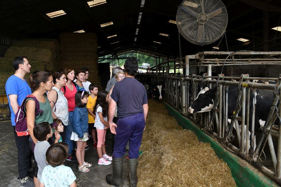 Fotos: El casería, la nueva clase durante dos días