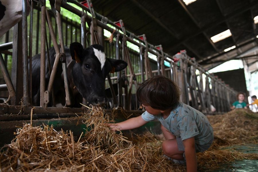 Fotos: El casería, la nueva clase durante dos días