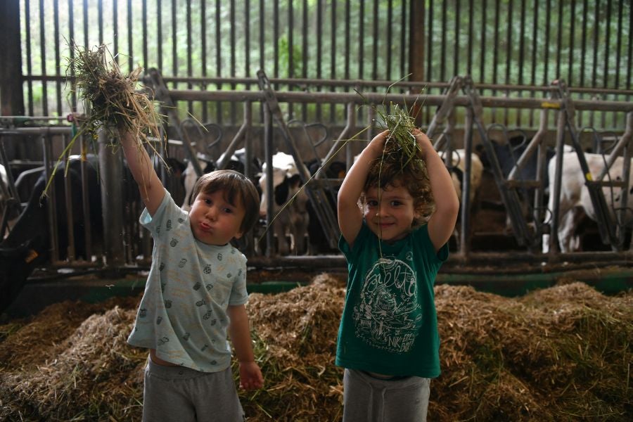 Fotos: El casería, la nueva clase durante dos días