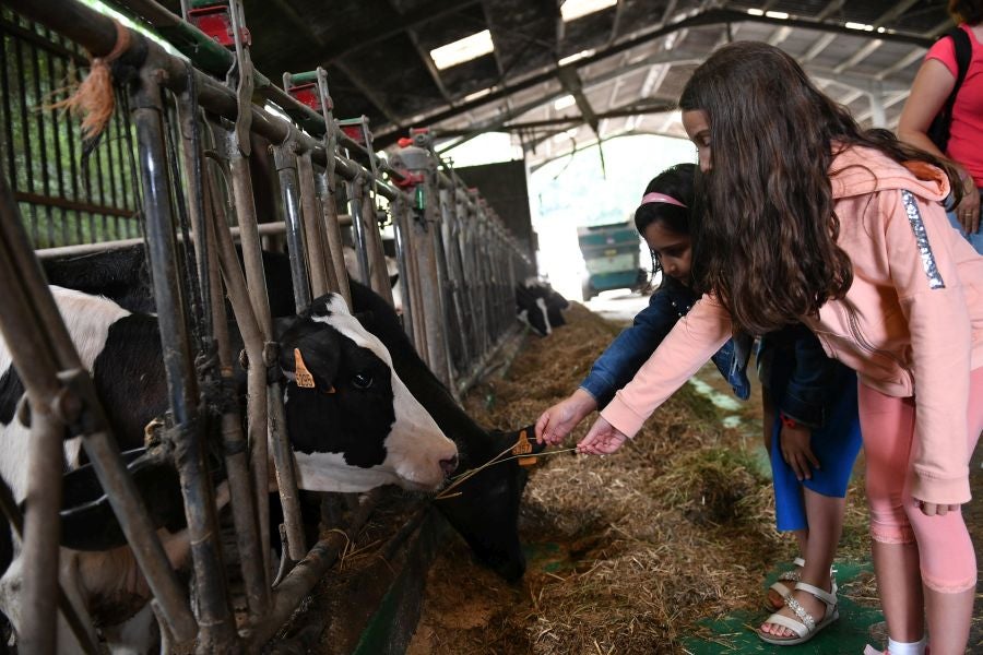 Fotos: El casería, la nueva clase durante dos días