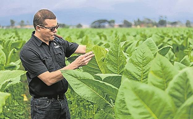 Imagen principal - Nicaragua huele a Cuba