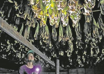 Imagen secundaria 1 - Nicaragua huele a Cuba