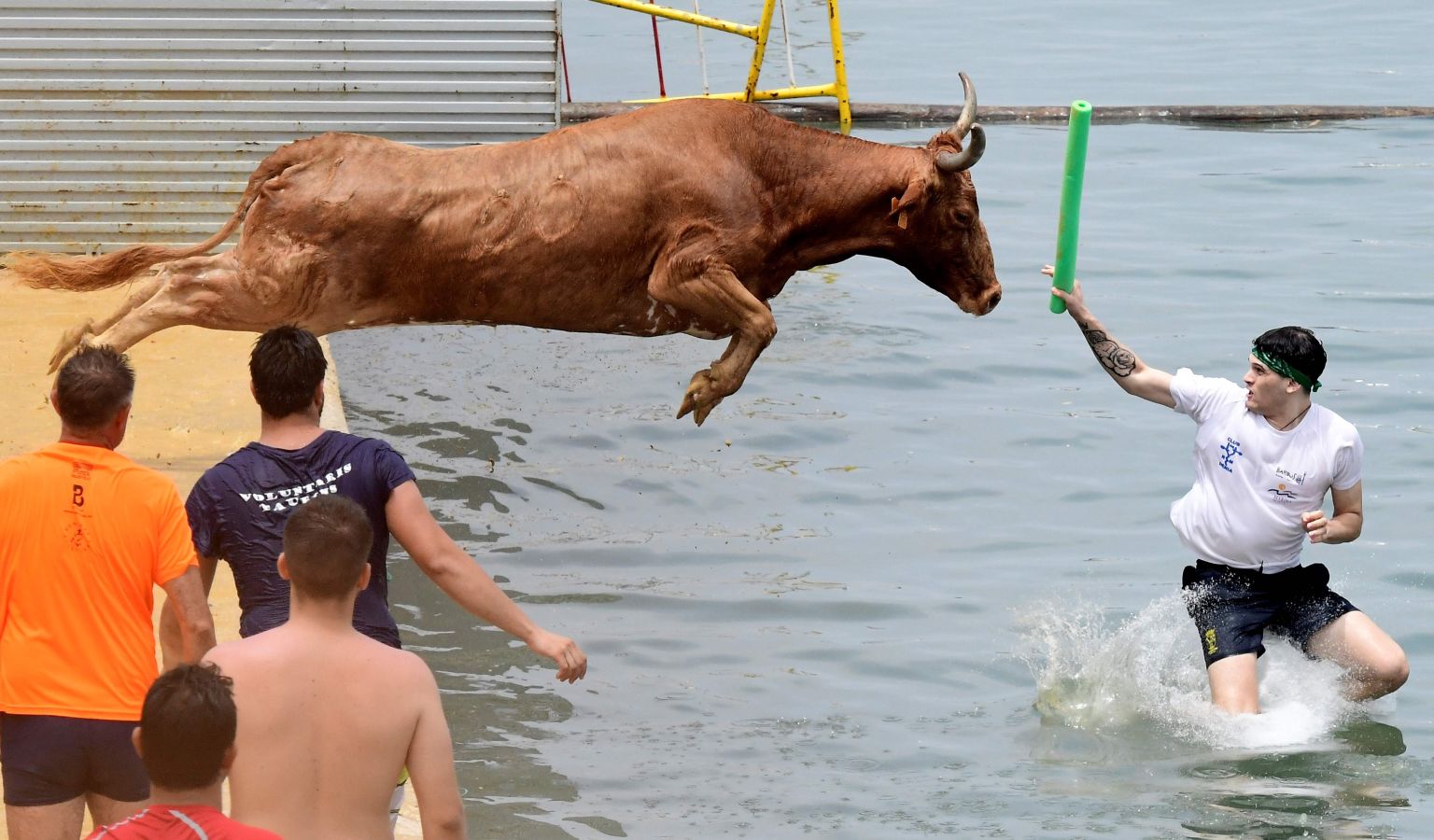 Fotos: ¡Toro al agua!