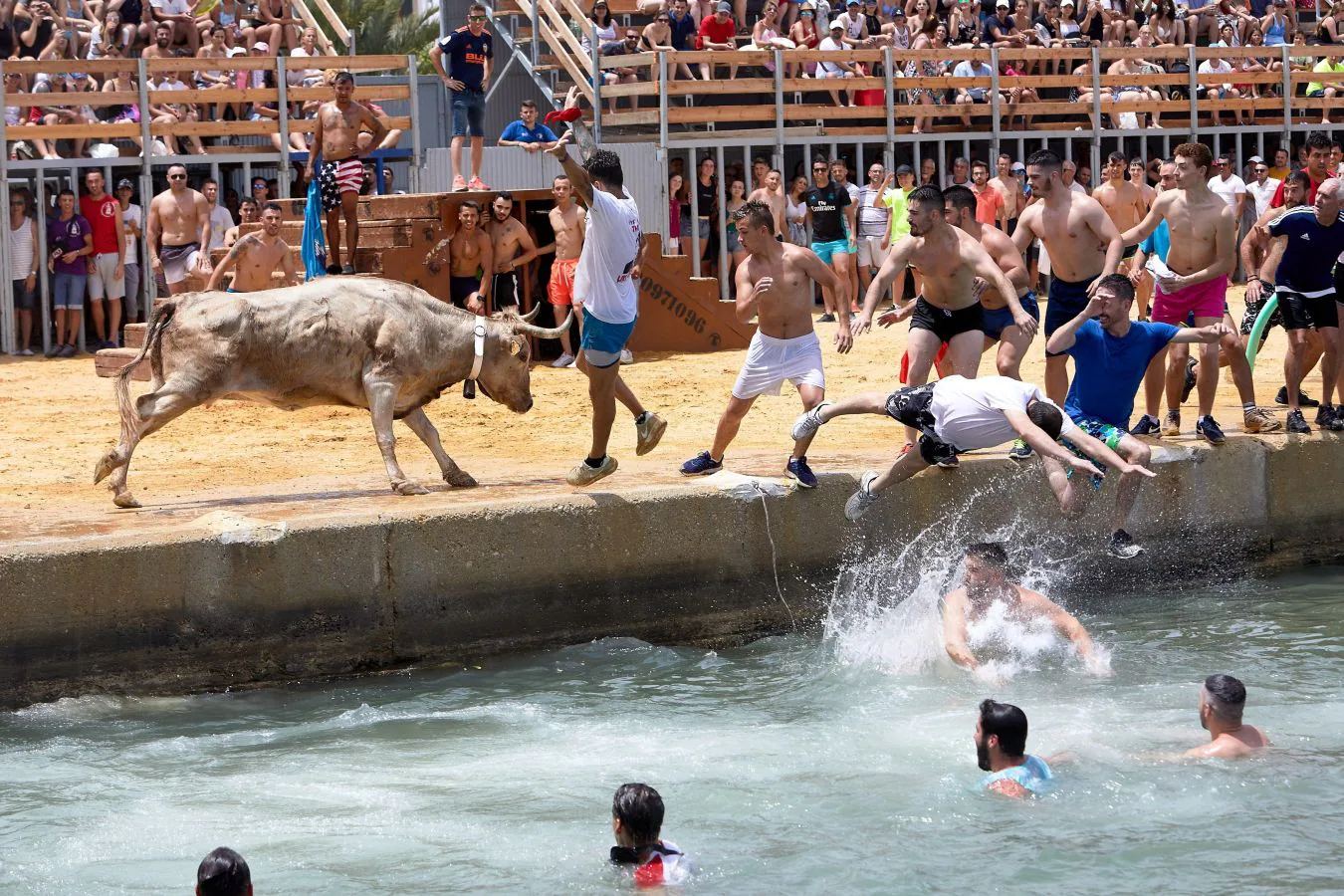 Fotos: ¡Toro al agua!