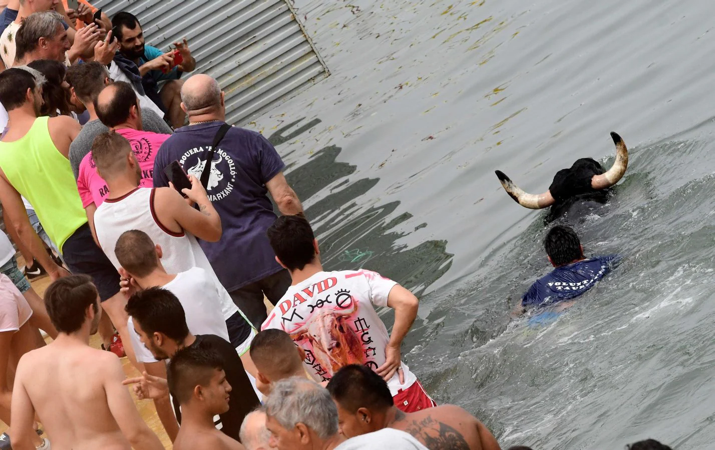 Fotos: ¡Toro al agua!