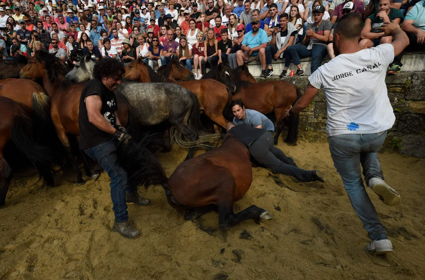 Fotos: El espectáculo de la &#039;Rapa das Bestas&#039;