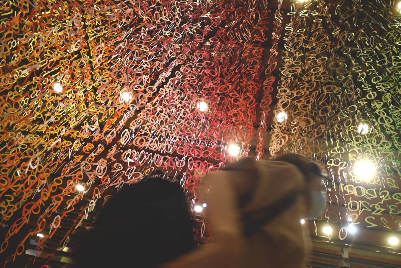 Fotos: Una explosión de color