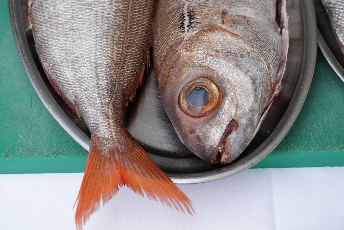 Fotos: Orio celebra su &#039;Bixigu Festa&#039;