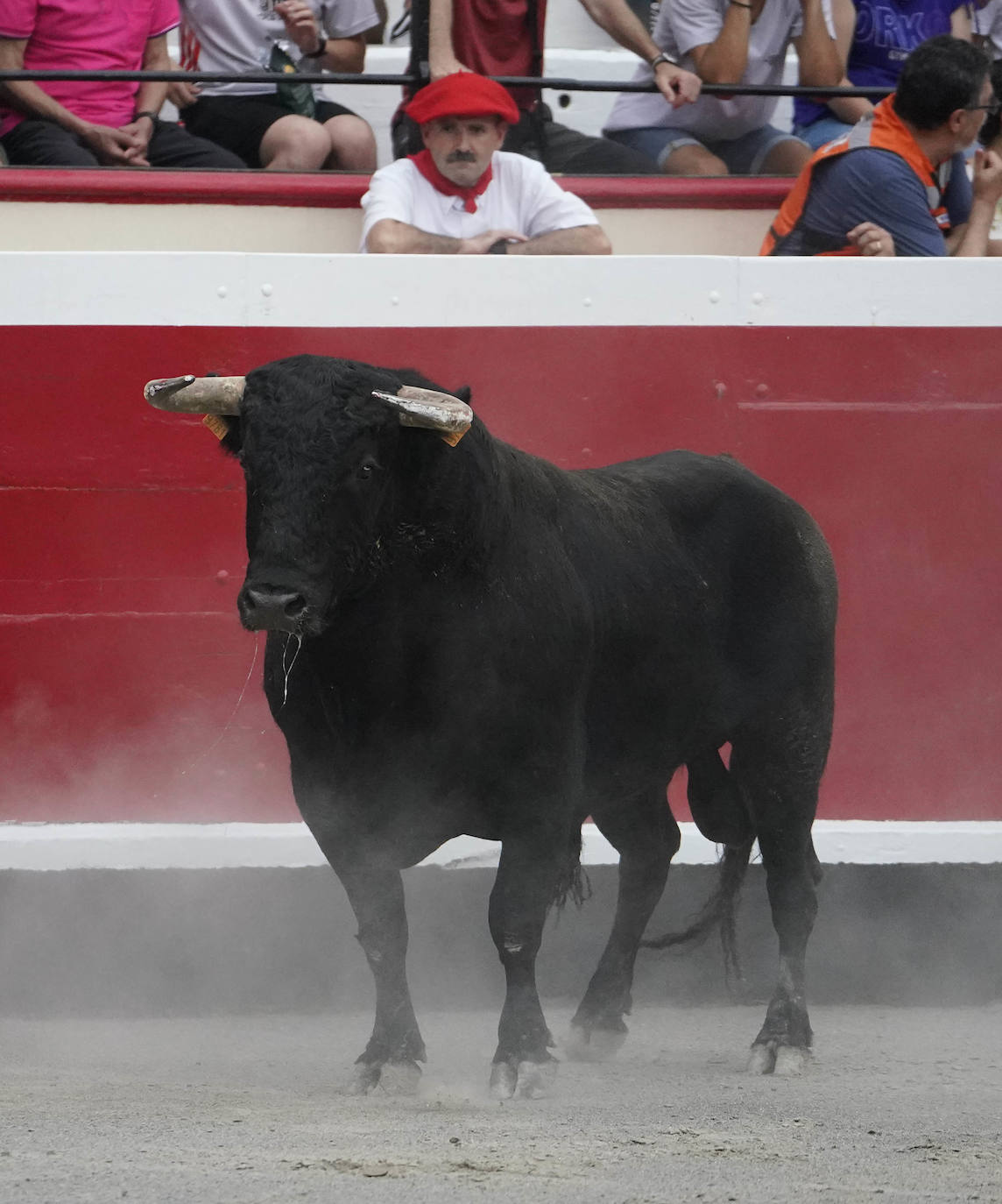 Fotos: ‘Use’ y ‘Guindi’ se reparten la txapela