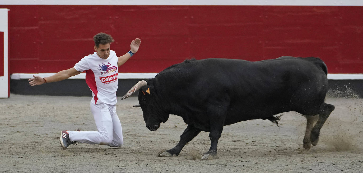 Fotos: ‘Use’ y ‘Guindi’ se reparten la txapela