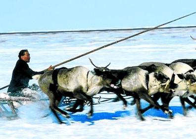 Imagen secundaria 1 - Las rutas de trineo son la única 'autopista' para acceder a las zonas más aisladas. Sin los renos no se entendería la cultura de estas tribus. Antolínez, en un espectacular paraje del Ártico.