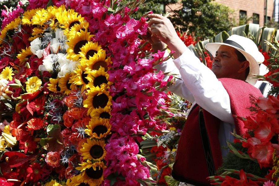 Fotos: Medellín se viste de jardín