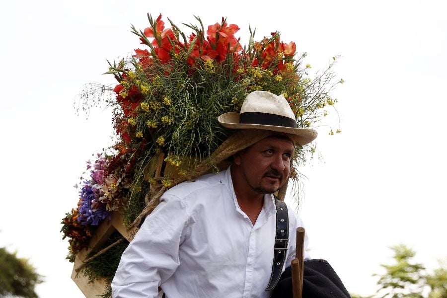 Fotos: Medellín se viste de jardín