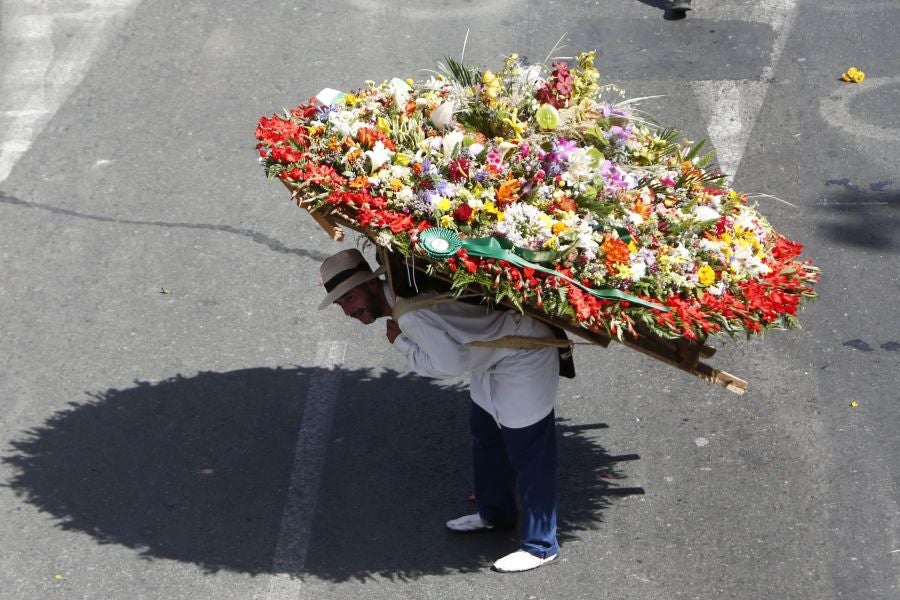 Fotos: Medellín se viste de jardín