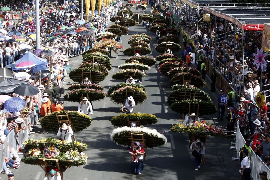 Fotos: Medellín se viste de jardín