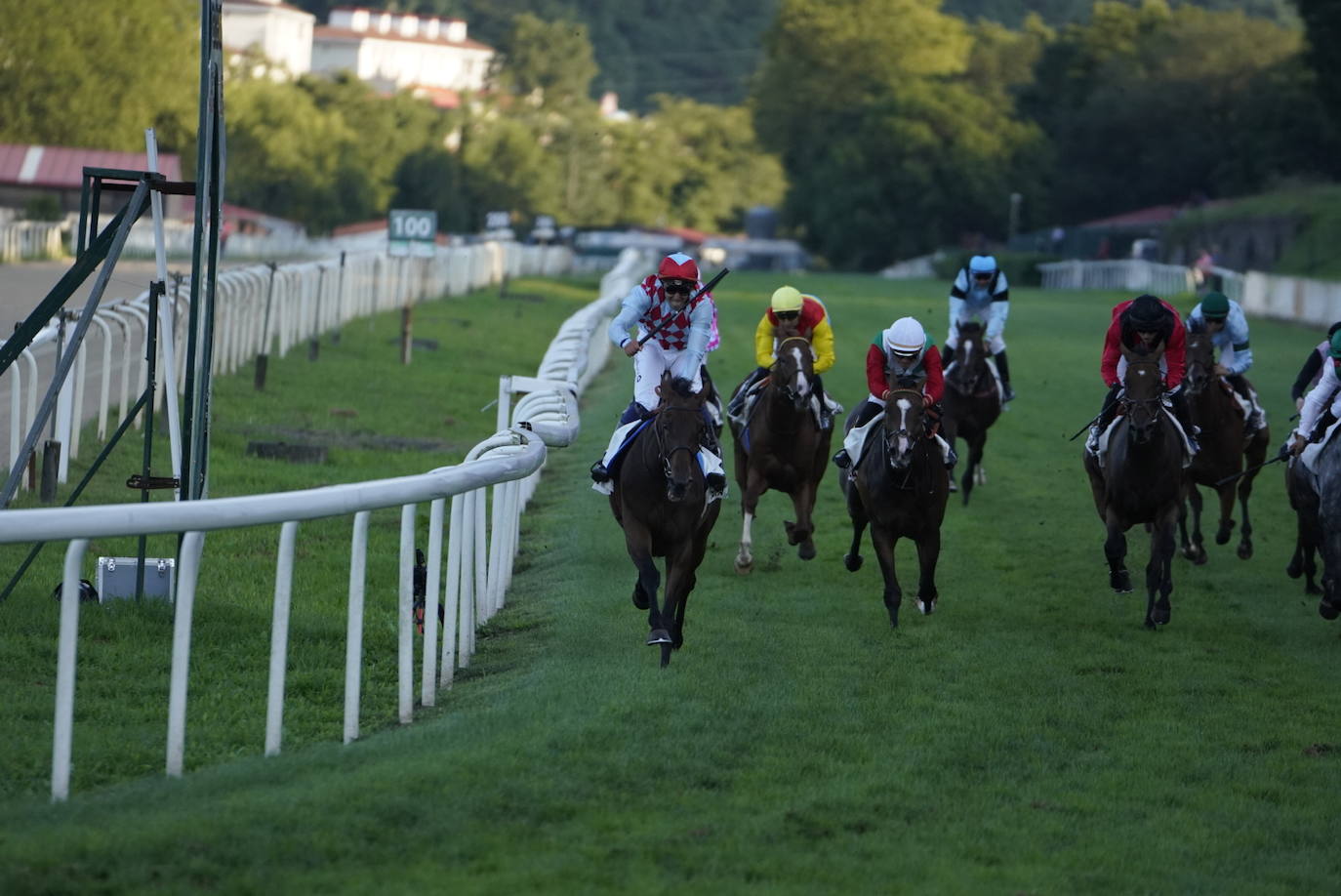 Fotos: ‘Amazing Red’ gana la Copa de Oro de San Sebastián