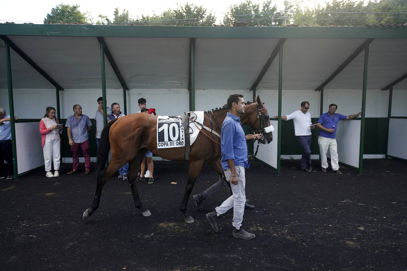 Fotos: ‘Amazing Red’ gana la Copa de Oro de San Sebastián