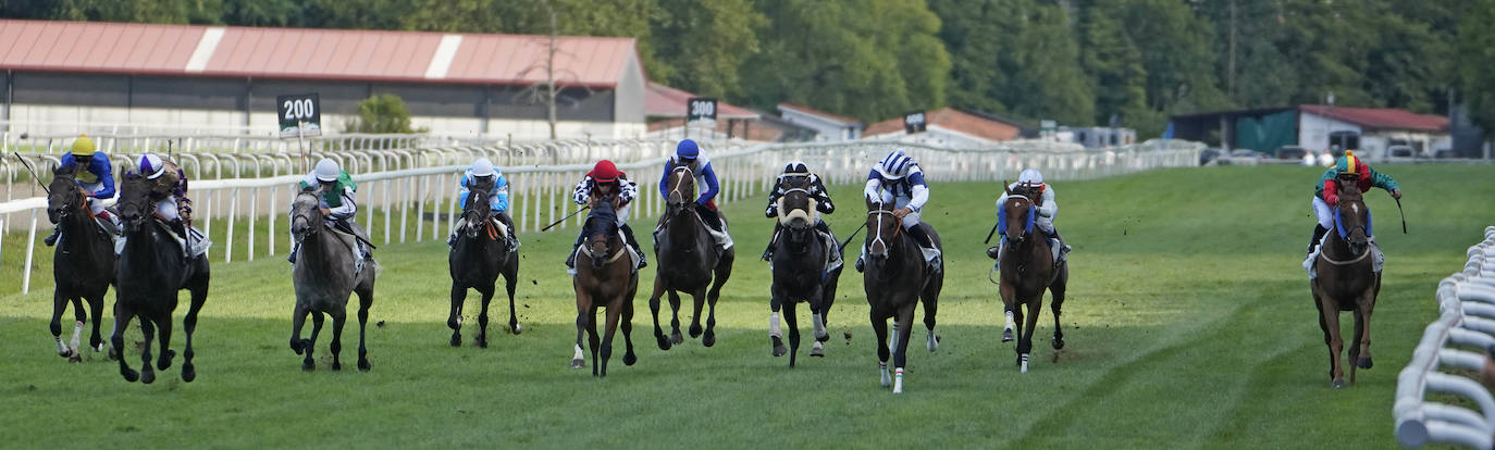 Fotos: ‘Amazing Red’ gana la Copa de Oro de San Sebastián