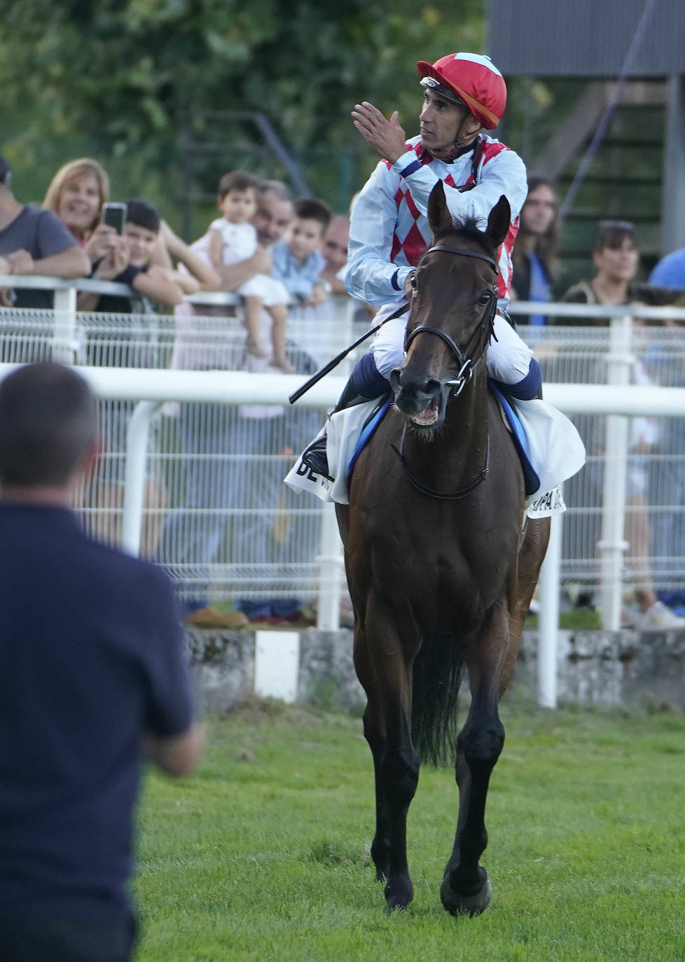 Fotos: ‘Amazing Red’ gana la Copa de Oro de San Sebastián