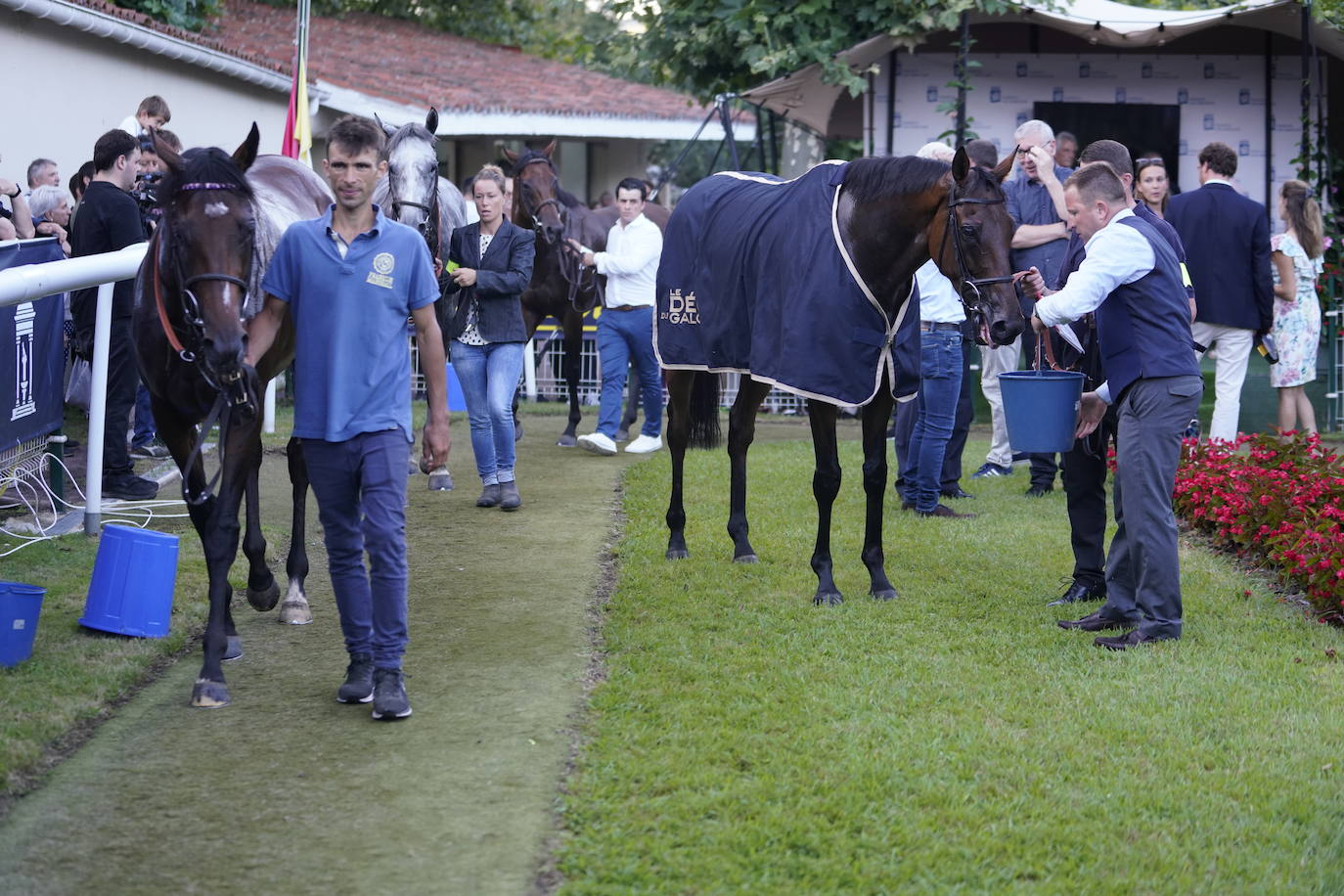 Fotos: ‘Amazing Red’ gana la Copa de Oro de San Sebastián