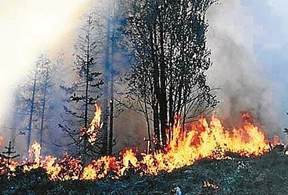 Imagen principal - Siberia es una inmensa hoguera