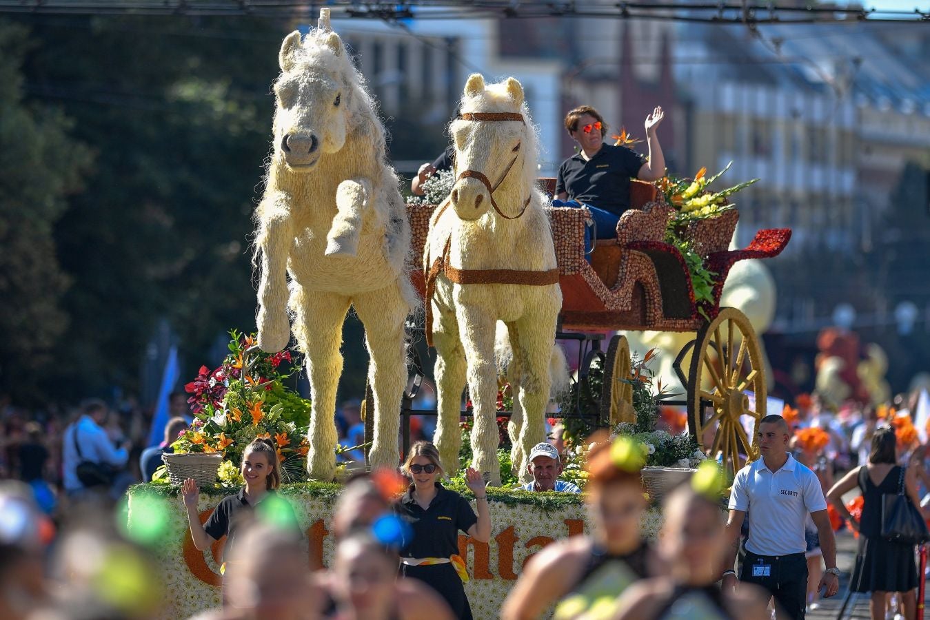 Fotos: Las carrozas florales visten Hungría