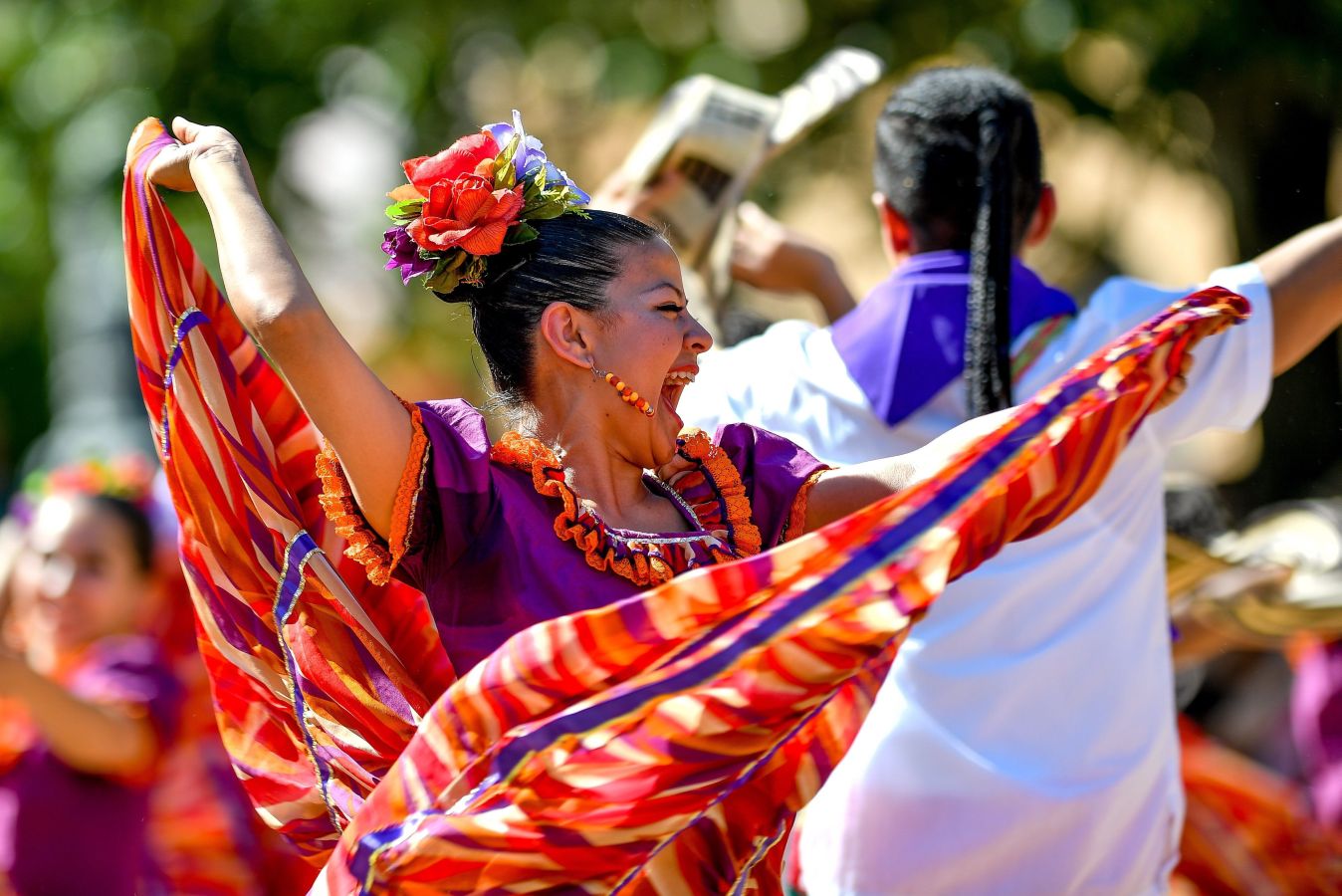 Fotos: Las carrozas florales visten Hungría