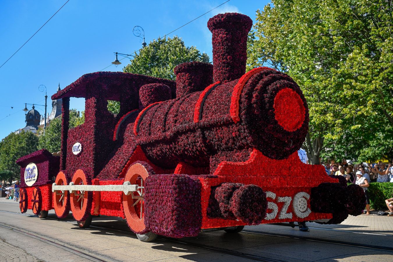 Fotos: Las carrozas florales visten Hungría