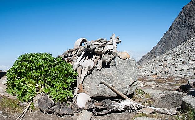 Los restos analizados datan de dos periodos distintos y pertenecen a tres grupos genéticos.