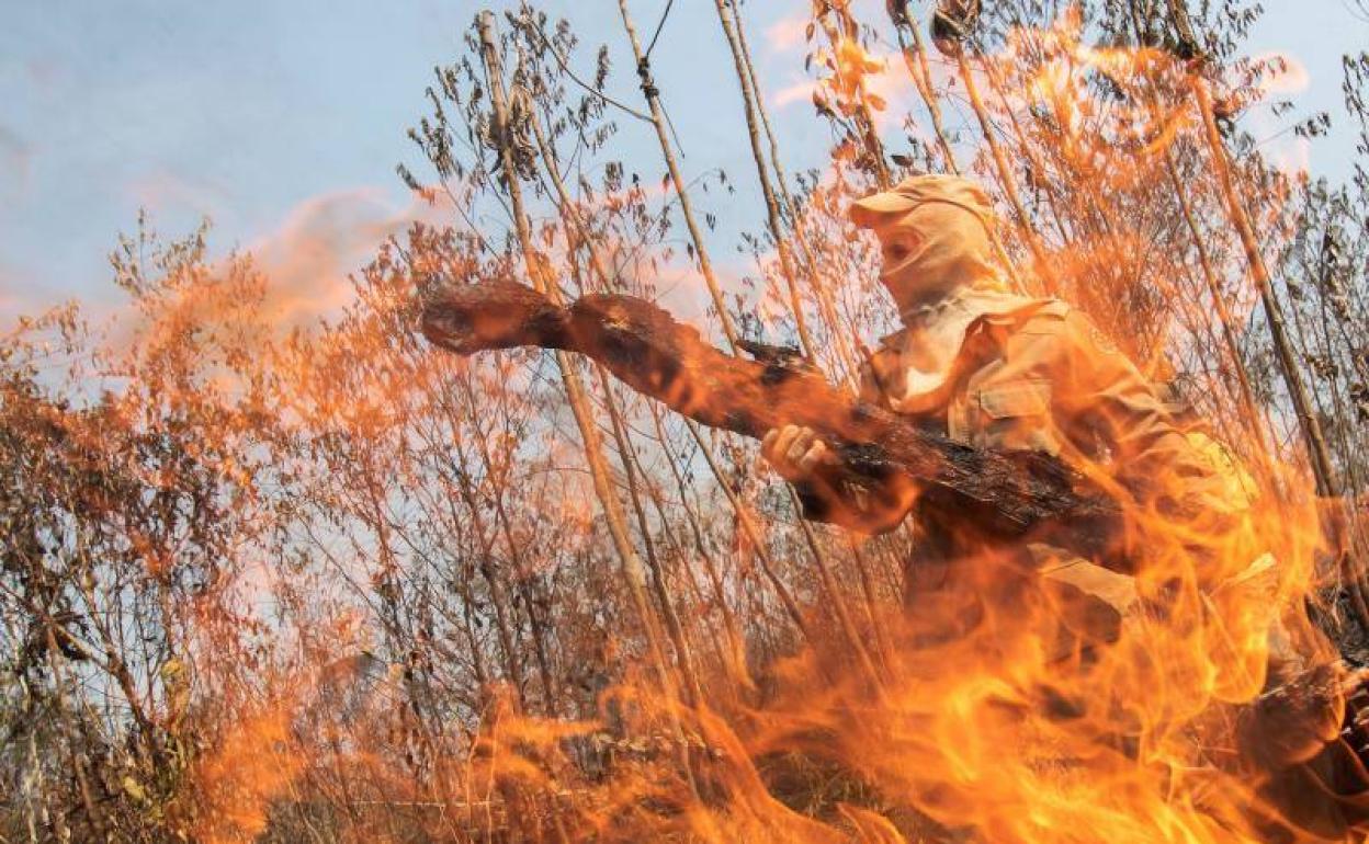 Un bombero se ve tras las llamas durante los combates de los incendios en la selva amazónica. 