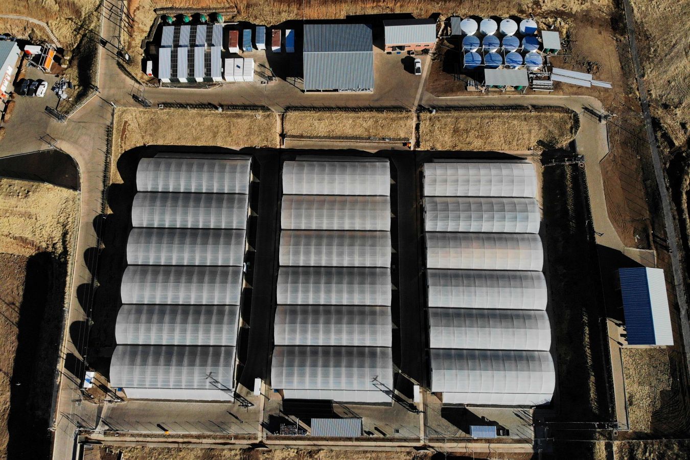 Una compañía trabaja las tierras en la región de Krasnoyarsk