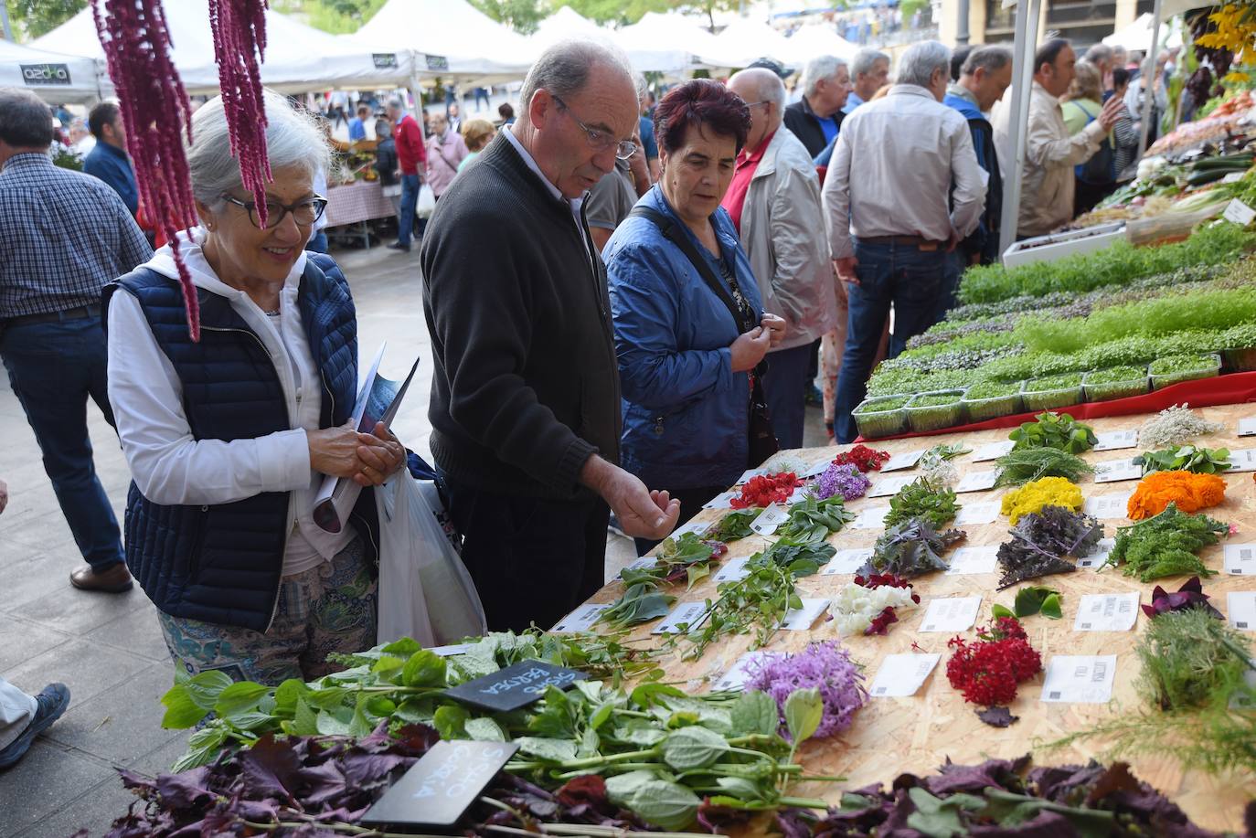 Ordizia celebra este miércoles la feria de las ferias de Gipuzkoa