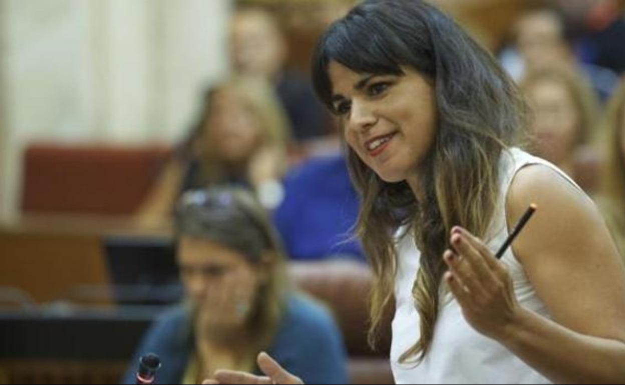 Teresa Rodríguez regresa al Parlamento tras su baja maternal.