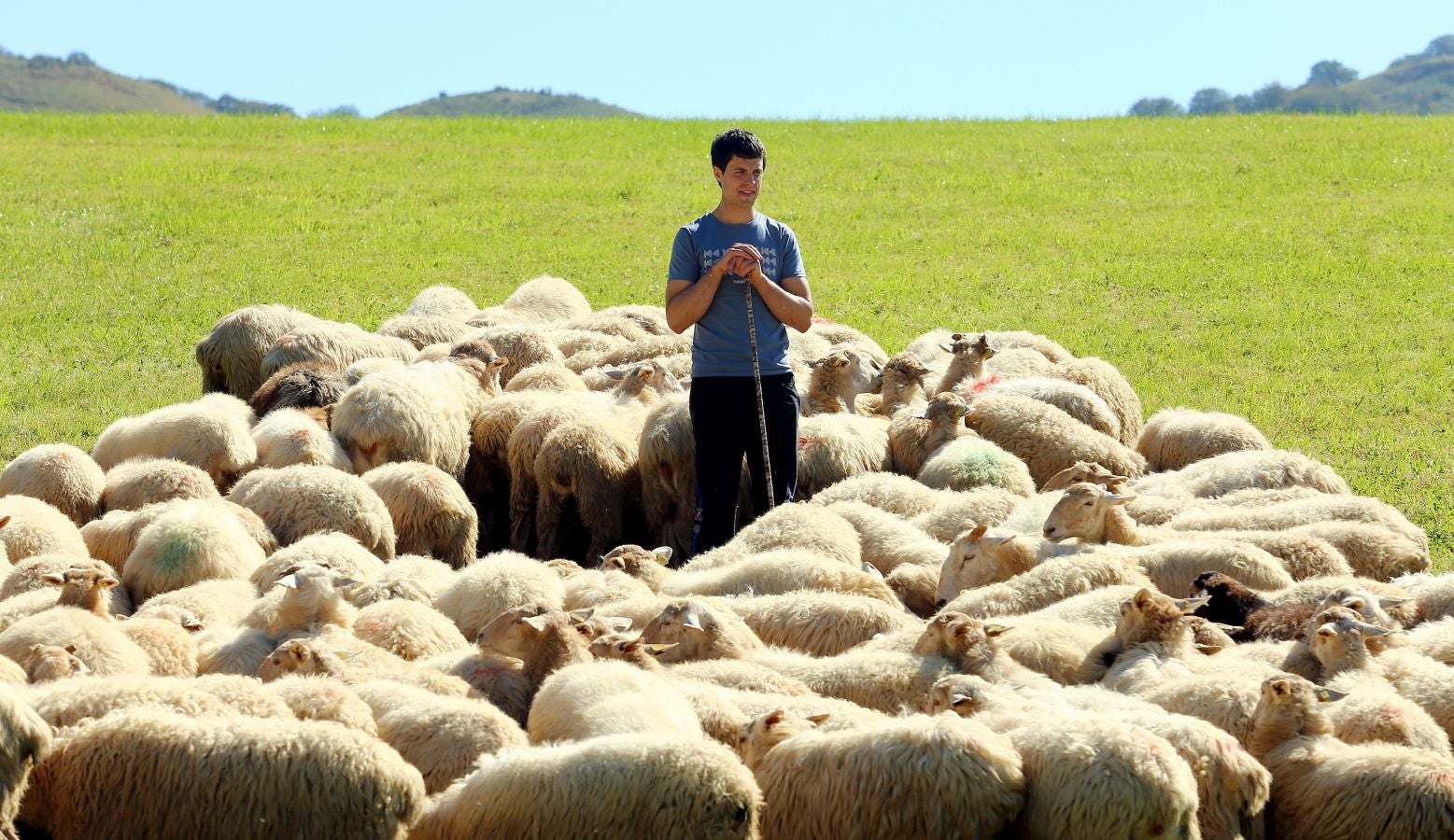 Fotos: Un día con Julen Arburua, ganador del concurso de quesos de Ordizia