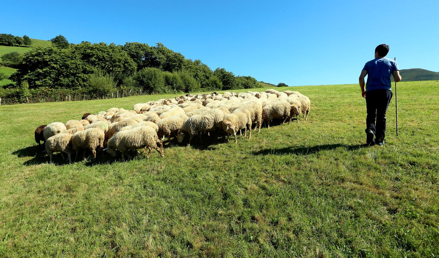 Fotos: Un día con Julen Arburua, ganador del concurso de quesos de Ordizia