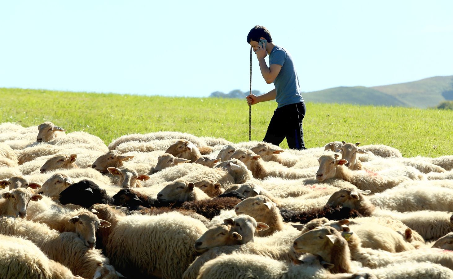 Fotos: Un día con Julen Arburua, ganador del concurso de quesos de Ordizia