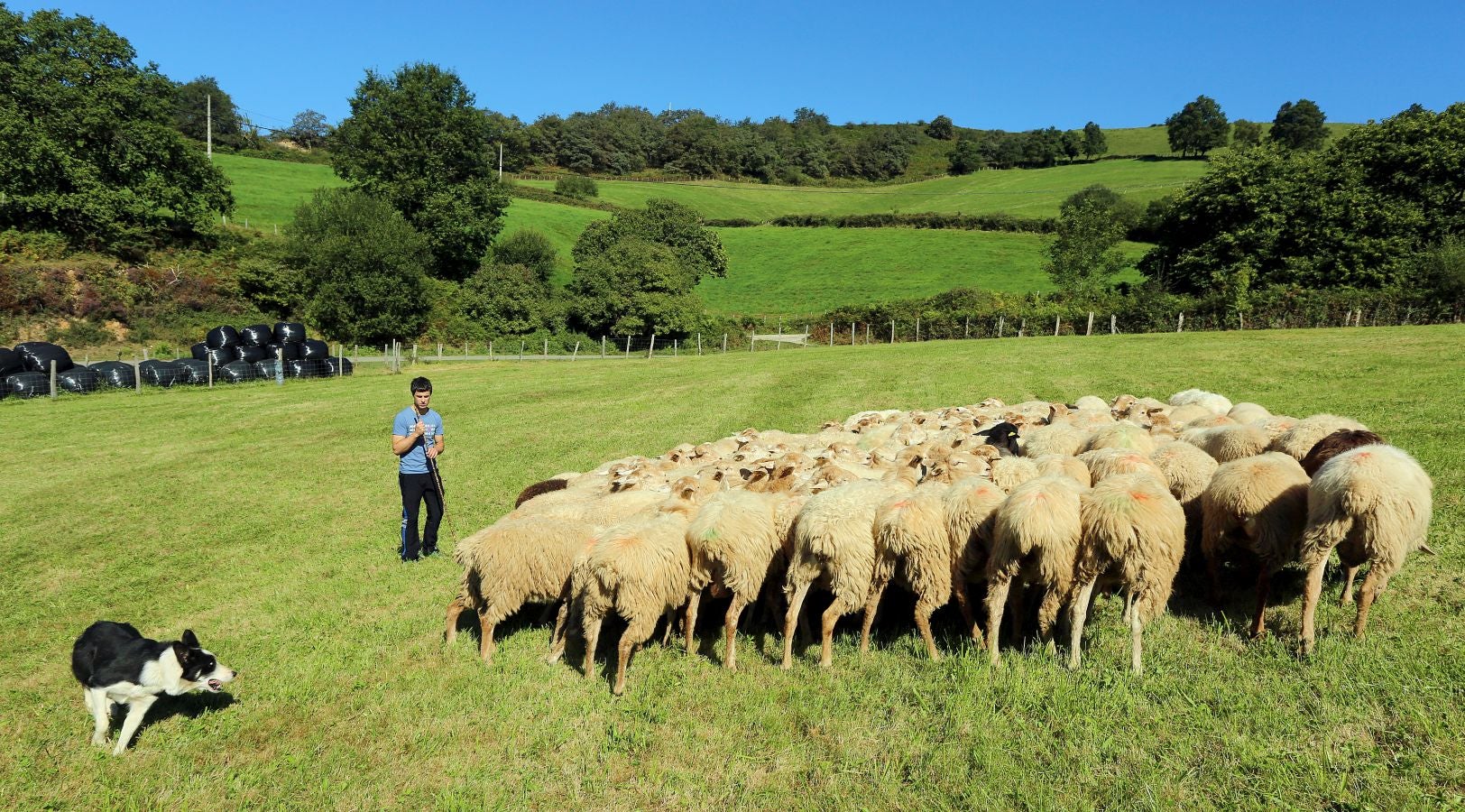 Fotos: Un día con Julen Arburua, ganador del concurso de quesos de Ordizia