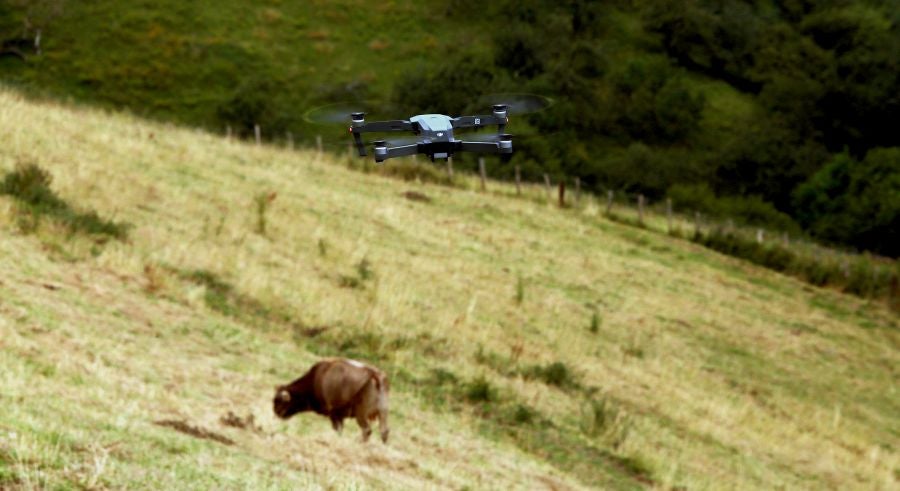 Fotos: El Flysch a vista de dron