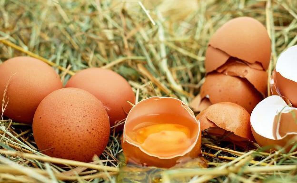 Los huevos que encontramos en nuestras tiendas pueden ser de varios tipos diferentes. 