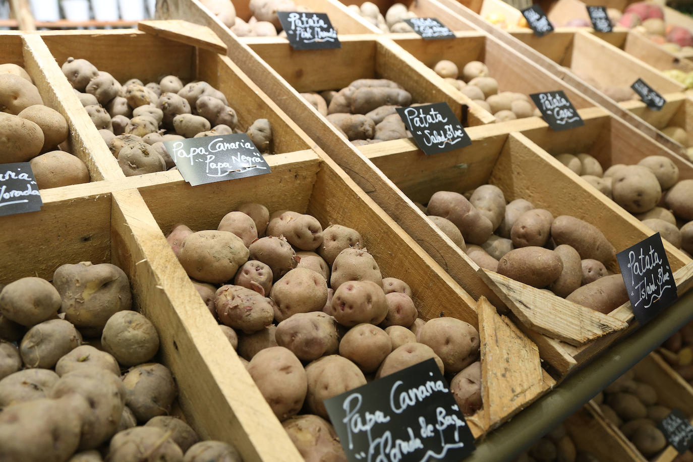 La influencia de Juan Sebastián Elcano en la tradición de la parrilla de Getaria, las palabras de Joan Roca, del tres estrellas Michelin El Celler de Can Roca (Girona), los hongos marinos descubiertos por el triestrellado Ángel León (Aponiente) o la reinvención de la tradición colombiana a cargo de Leonor Espinosa han destacado este martes en la segunda jornada de San Sebastian Gastronomika
