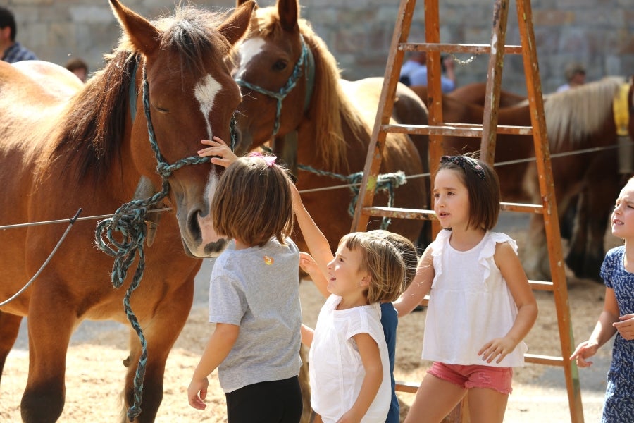 Fotos: Julen Arburua se lleva la txapela en Idiazabal