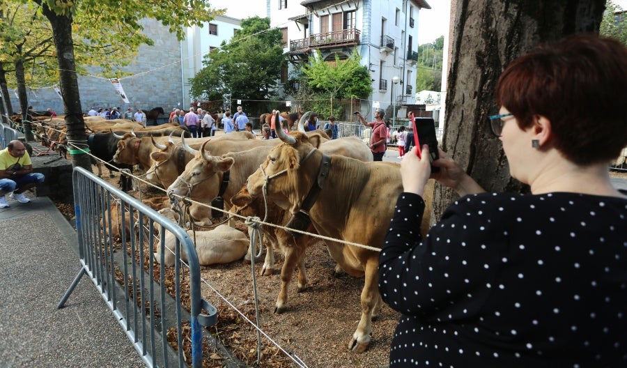 Fotos: Julen Arburua se lleva la txapela en Idiazabal
