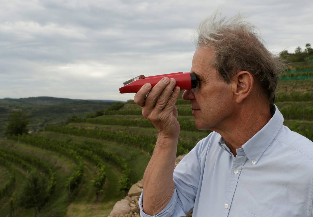 En Austria, el vino coge fama poco a poco. Trabajan bien con las uvas. 