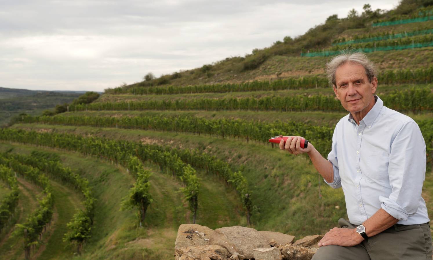 En Austria, el vino coge fama poco a poco. Trabajan bien con las uvas. 