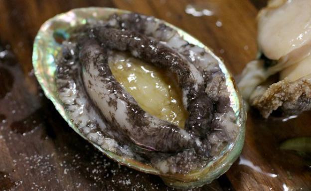 El abalón, el molusco más exclusivo del mundo